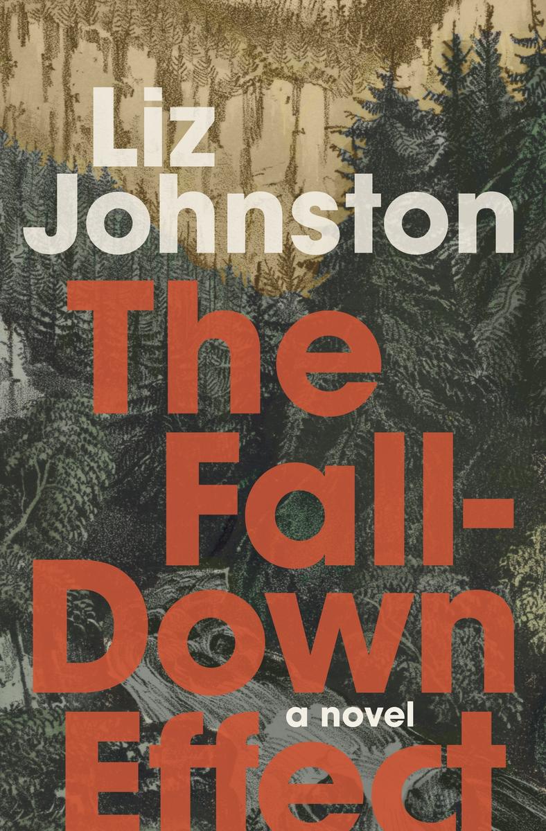 The Fall-Down Effect: A Novel